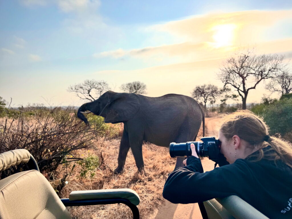 South African Safari