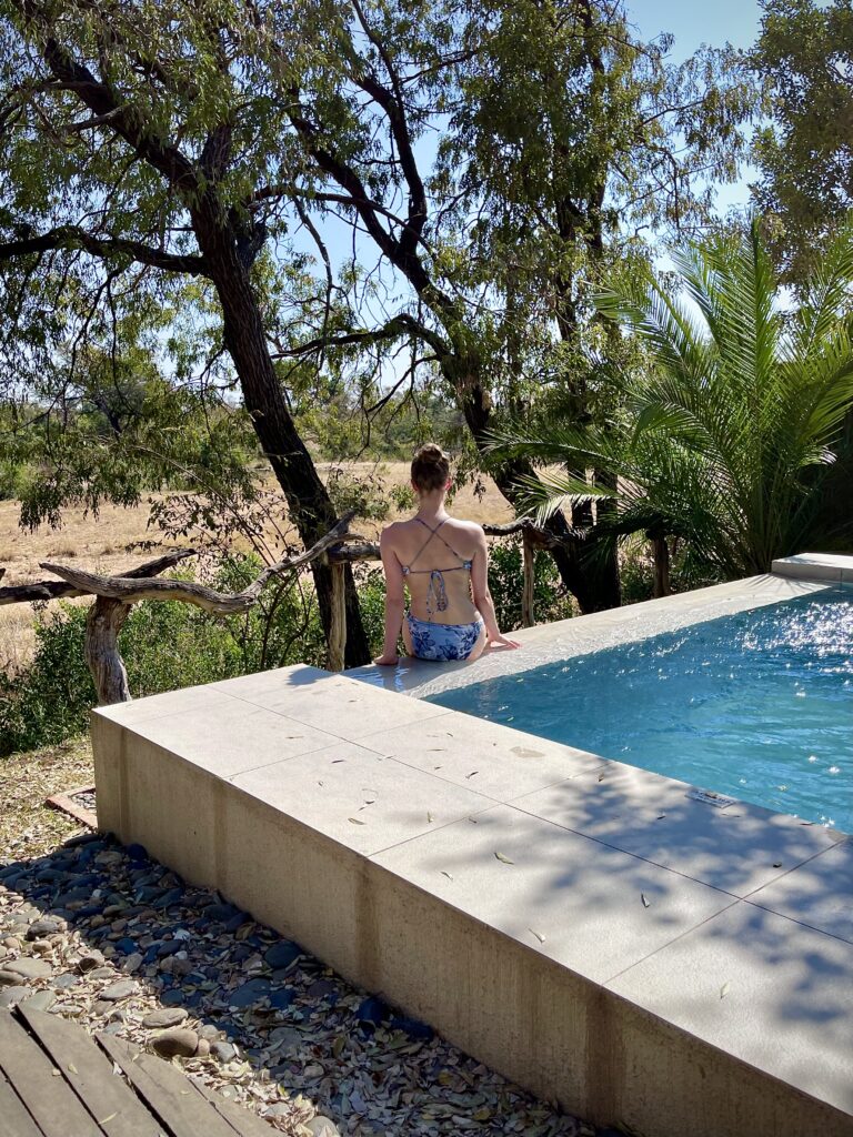 South African Safari